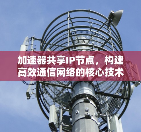 加速器共享IP节点，构建高效通信网络的核心技术