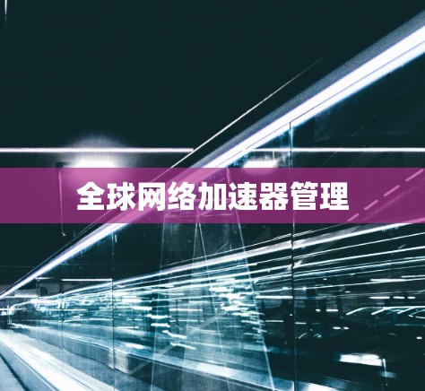 全球网络加速器管理