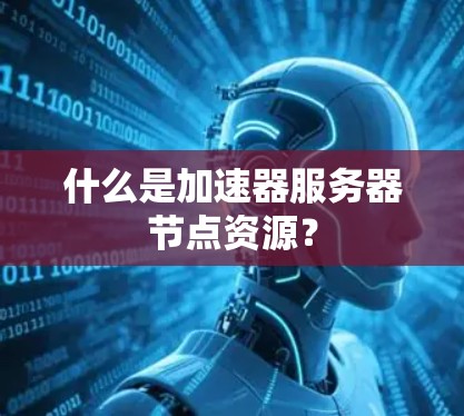 什么是加速器服务器节点资源？