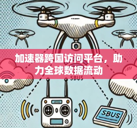 加速器跨国访问平台，助力全球数据流动