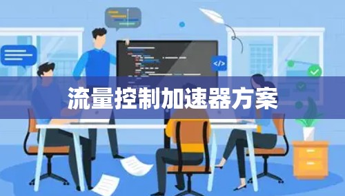 流量控制加速器方案