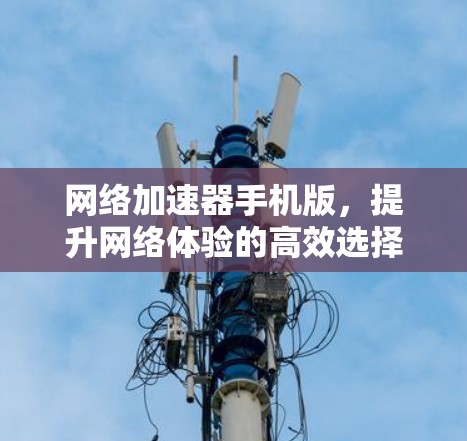 网络加速器手机版，提升网络体验的高效选择