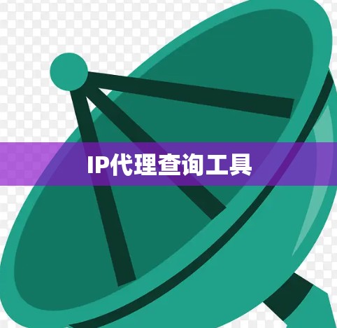 IP代理查询工具