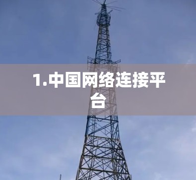 1.中国网络连接平台