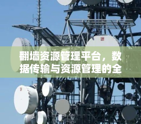翻墙资源管理平台，数据传输与资源管理的全新解决方案
