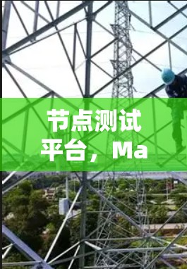 节点测试平台，Mac设备功能测试的高效工具
