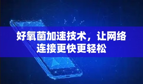 好氧菌加速技术，让网络连接更快更轻松