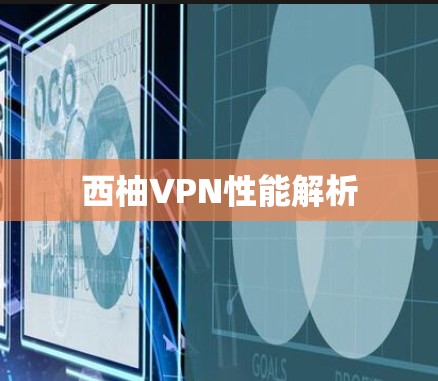 西柚VPN性能解析
