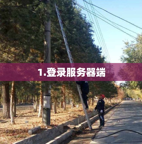 1.登录服务器端