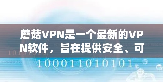 蘑菇VPN是一个最新的VPN软件，旨在提供安全、可靠和高效的网络接入服务。如果你已经使用过蘑菇VPN，可能是想尝试更新到最新版本，以获取更多的功能、性能优化和安全 updated