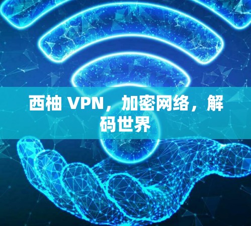 西柚 VPN，加密网络，解码世界