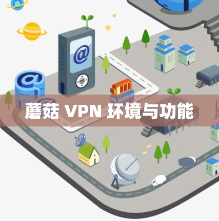蘑菇 VPN 环境与功能