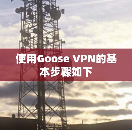 使用Goose VPN的基本步骤如下