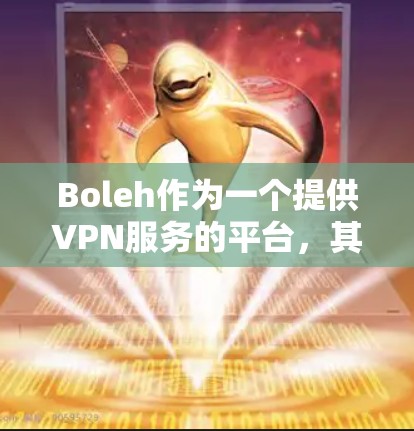 Boleh作为一个提供VPN服务的平台，其主要功能可以分为以下几个方面