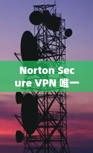 Norton Secure VPN 唯一的速率限制