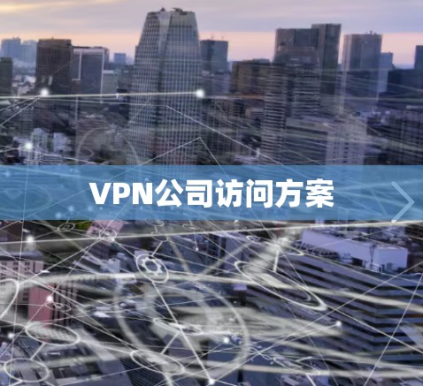 VPN公司访问方案
