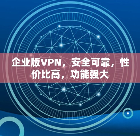 企业版VPN，安全可靠，性价比高，功能强大