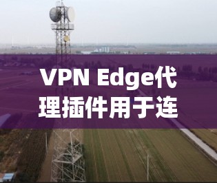 VPN Edge代理插件用于连接VPN服务器和_edge网络，以下是使用 Edge 网络的步骤和注意事项