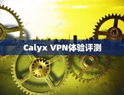 Calyx VPN体验评测