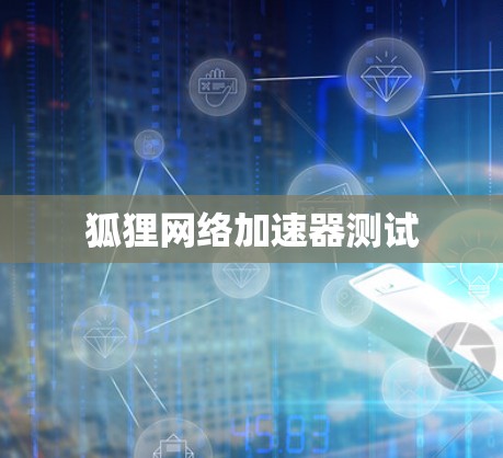 狐狸网络加速器测试