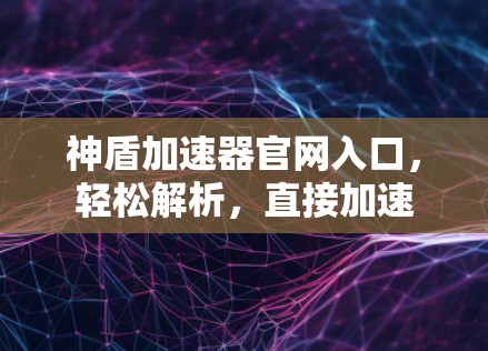 神盾加速器官网入口，轻松解析，直接加速