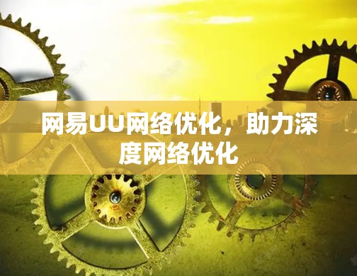 网易UU网络优化，助力深度网络优化