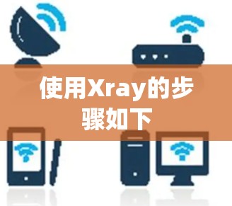 使用Xray的步骤如下