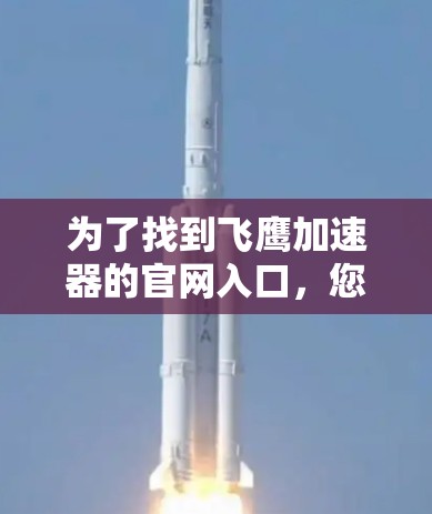 为了找到飞鹰加速器的官网入口，您可以按照以下步骤进行