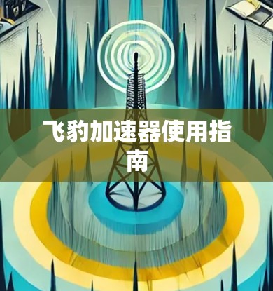 飞豹加速器使用指南