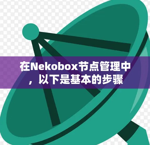 在Nekobox节点管理中，以下是基本的步骤