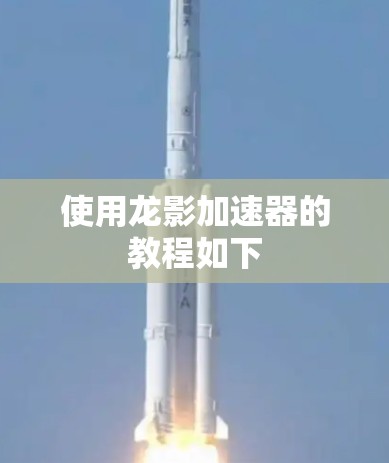 使用龙影加速器的教程如下