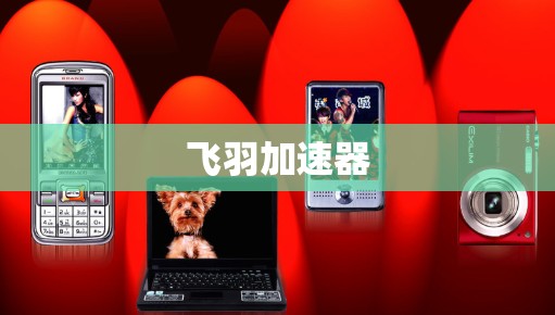 飞羽加速器