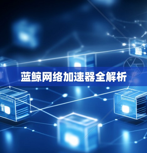 蓝鲸网络加速器全解析