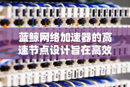 蓝鲸网络加速器的高速节点设计旨在高效处理大规模流量，提升网络性能。以下是关于其高速节点的详细描述