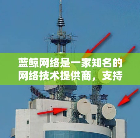 蓝鲸网络是一家知名的网络技术提供商，支持提供一线、中线和宽线网络解决方案。在国际网络方面，蓝鲸网络提供多种连接方式，包括连接到国内的国内互联网、国际互联网，以及支持VPN访问国际服务器