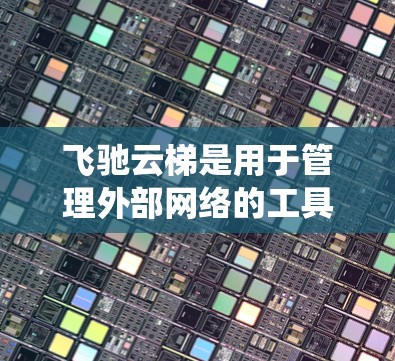 飞驰云梯是用于管理外部网络的工具，主要功能包括流量监控、统计、分析和管理。以下是使用飞驰云梯的详细步骤