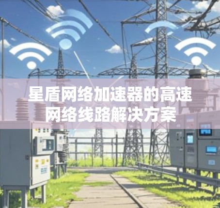 星盾网络加速器的高速网络线路解决方案