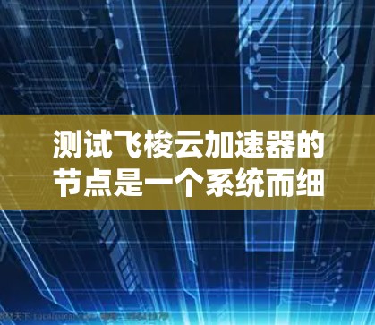 测试飞梭云加速器的节点是一个系统而细致的过程，涉及多个步骤和细节，以下是详细的总结