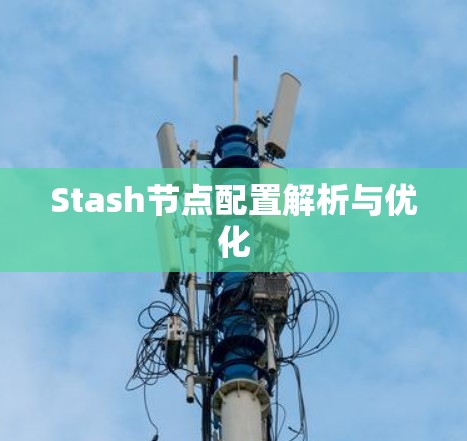 Stash节点配置解析与优化
