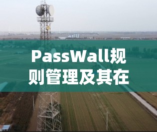 PassWall规则管理及其在通信中的应用