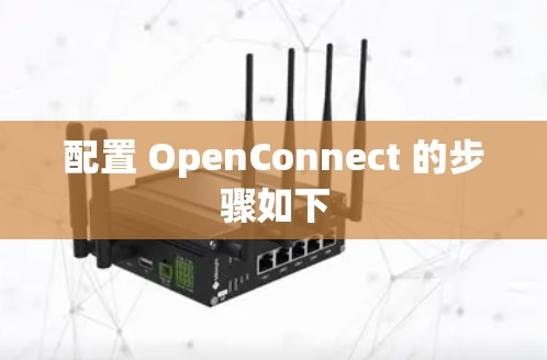配置 OpenConnect 的步骤如下