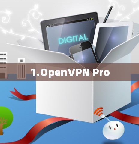 1.OpenVPN Pro