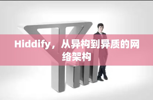 Hiddify，从异构到异质的网络架构