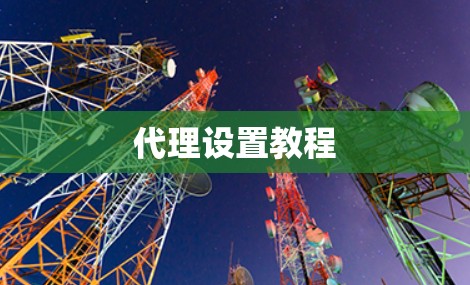 代理设置教程