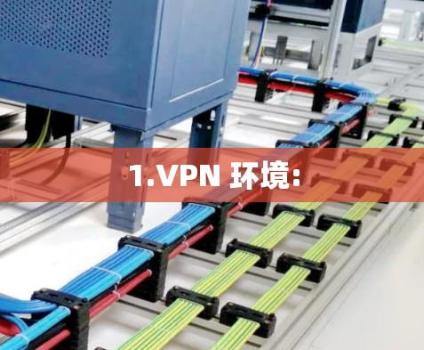 1.VPN 环境: