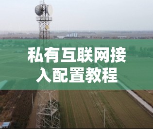 私有互联网接入配置教程