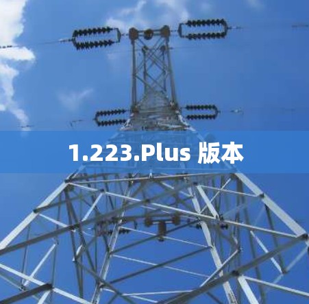1.223.Plus 版本