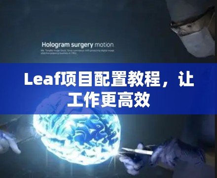 Leaf项目配置教程，让工作更高效