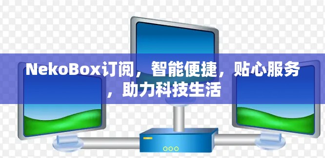 NekoBox订阅，智能便捷，贴心服务，助力科技生活