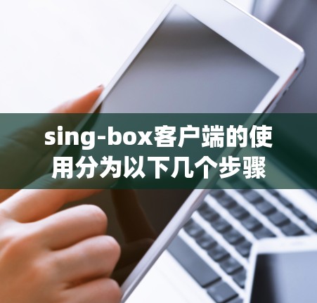 sing-box客户端的使用分为以下几个步骤